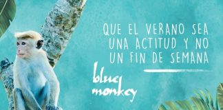 Oportunidad de trabajo en Jerez para camareros y relaciones públicas en la terraza Blue Monkey