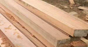 Una fábrica de madera permitirá crear 150 puestos de trabajo directos en Andorra (Teruel)