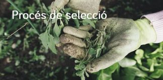 Asaja ofrece 75 puestos de trabajo para peones agrícolas en Baleares