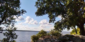 Oportunidad para regentar un bar con alojamiento gratuito en Sardón de los Frailes (Salamanca)