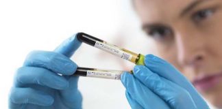 Becton Dickinson creará 600 puestos de trabajo en Zaragoza