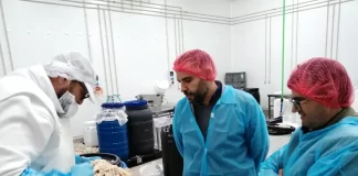 La empresa United Caro creará 200 puestos de trabajo en Baza (Granada)