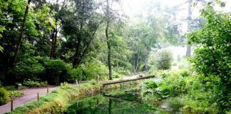 El Jardín Botánico de Gijón celebra su aniversario con jornadas de puertas abiertas
