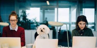 Mars creará 40 puestos de trabajo en Arévalo (Ávila)