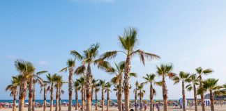 Bolsa de empleo para trabajar en las playas de Castellón este verano