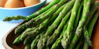 Ocio gratis para el puente del primero de mayo