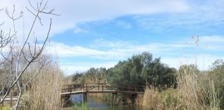 Los parques naturales de Baleares celebran el Día Mundial de los Humedales con actividades gratuitas