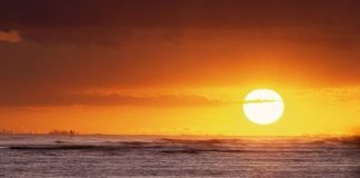 Un histórico del foro, Máximo, logra empleo y estabilidad