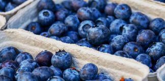 Ofrecen 400 puestos de trabajo en Huelva para las campañas de arándanos y frambuesas