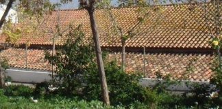 El Ayto de La Llosa (Castellón) abre una bolsa de empleo para quienes quieran trabajar en la agricultura