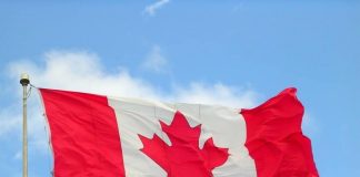 Trabajar en Canadá: Una oportunidad en Construcción, Turismo, Ingeniería y alta cualificación