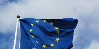 Oportunidad de prácticas en la sede del Comité Económico y Social Europeo