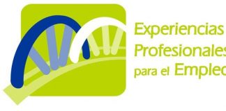 Jóvenes andaluces podrán optar a 1.000 becas para realizar prácticas en empresas