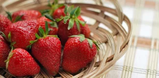 Oferta de empleo en la campaña de la fresa de Huelva para 600 personas