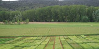 Castilla La Mancha recibirá 9,2 millones de euros para el plan especial de empleo para zonas rurales deprimidas