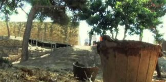 Murcia oferta este año 144 plazas en campos de trabajo para jóvenes Campos de Trabajo