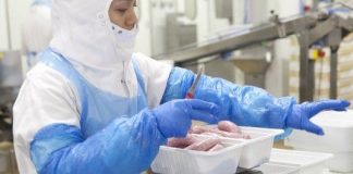 Casa Matachín dará empleo a 80 personas en los dos próximos años en Zaragoza