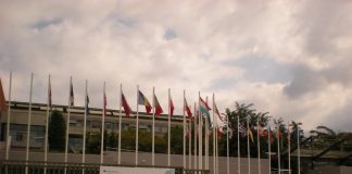 Oportunidad de prácticas en el Centro Europeo para el Desarrollo de la Formación Profesional para universitarios