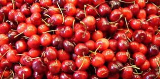 ¿Quieres trabajar en la campaña de cerezas 2019 en el Valle del Jerte? Buscan administrativos y personal de almacén