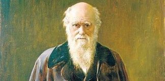 Disponibles en internet de forma gratuita manuscritos del naturalista Charles Darwin