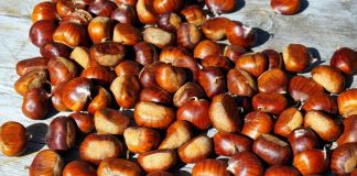 Ofrecen 35 puestos de trabajo para la campaña de la castaña en Puebla de Sanabria