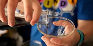 El SEF impulsa un programa para ayudar a encontrar trabajo a titulados en ciencias y tecnología Ciencia