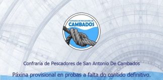 Oferta de empleo en la cofradía de pescadores de Cambados para operarios de la lonja y de la fábrica de hielo