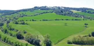 La Comarca de la Litera (Huesca) convoca seis bolsas de empleo para distintas especialidades