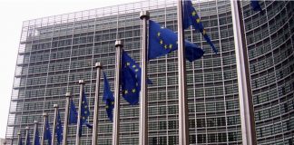 ¿Quieres hacer prácticas en el Comité Europeo de las Regiones? Está abierto el plazo de inscripción