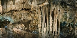 Oportunidad de empleo en las Cuevas de Nerja para atención al público, limpieza, aparcamiento y mantenimiento