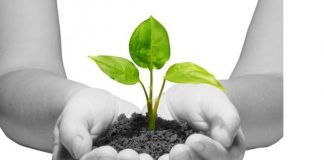 España cofinanciará con fondos europeos 36 proyectos para generar empleos verdes