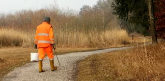 Bolsa de empleo para la recogida en punto limpio en el Ayuntamiento de Gargantilla del Lozoya y Pinilla de Buitrago (Madrid)