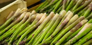 Oferta de empleo en Huétor Tájar (Granada) para peones en la campaña del espárrago