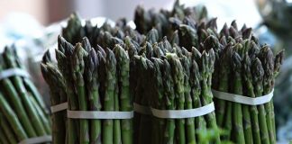 La patronal del espárrago en Guadalajara necesita personal para la recogida de este producto