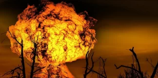 Tragsa ofrece trabajo en Madrid para especialistas en extinción de incendios forestales