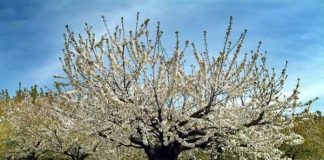 Ocio gratis para el cuarto fin de semana de marzo