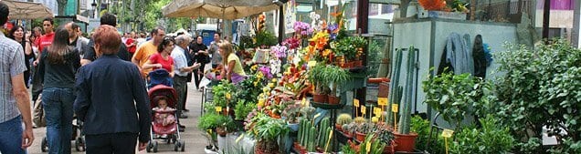 florramblas_97_original_(archivo)