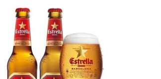 El Grupo Damm contratará a 140 jóvenes universitarios en 2014