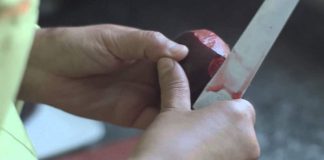 La empresa HaciendasBio proyecta crear 250 empleos en Mérida Haciendas Bio