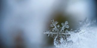 Frialia ofrece 29 puestos de trabajo en su nave frigorífica de Mos (Pontevedra)