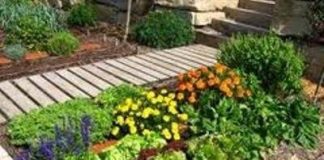 Abierto el plazo en Fuenlabrada para desempleados que quieran gestionar un huerto urbano