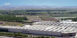 Iberfruta triplica su producción en La Palma del Condado (Huelva) e incrementa en 250 sus puestos de trabajo