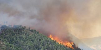 Bolsa de trabajo de vigilantes forestales y operarios de prevención en la Comunidad Valenciana Incendio Forestal