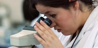 Impulsan la contratación de investigadores y tecnólogos en Castilla La Mancha Investigadora