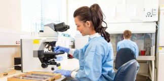 Convocatoria de empleo público para 133 plazas en los Organismos Públicos de Investigación