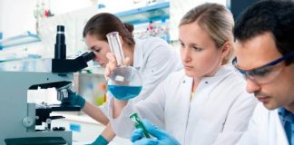 Prácticas para estudiantes universitarios en el Centro Nacional de Investigaciones Cardiovasculares Carlos III Investigadores