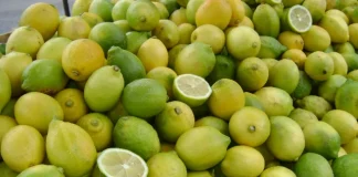 Oferta de empleo para 50 operarios agrícolas en una finca de Fuente Palmera (Córdoba)