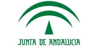 Convocadas becas de formación en documentación en Andalucía