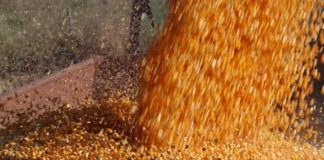 La empresa de piensos Cuperal prevé crear 100 puestos de trabajo en Vitigudino (Salamanca)