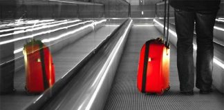 Canarias convoca 60 becas para jóvenes interesados en negocios internacionales Maleta